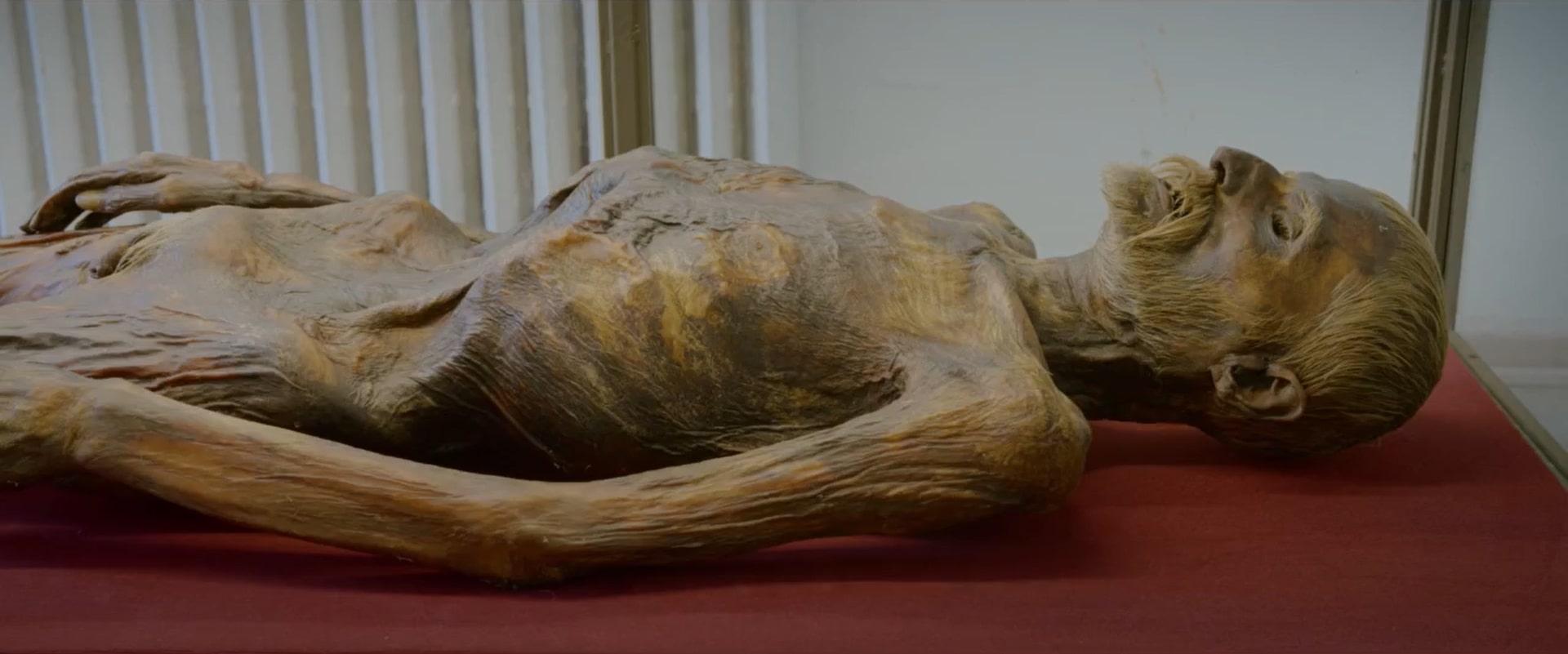 倒霉性爱，发狂黄片剧照的剧照