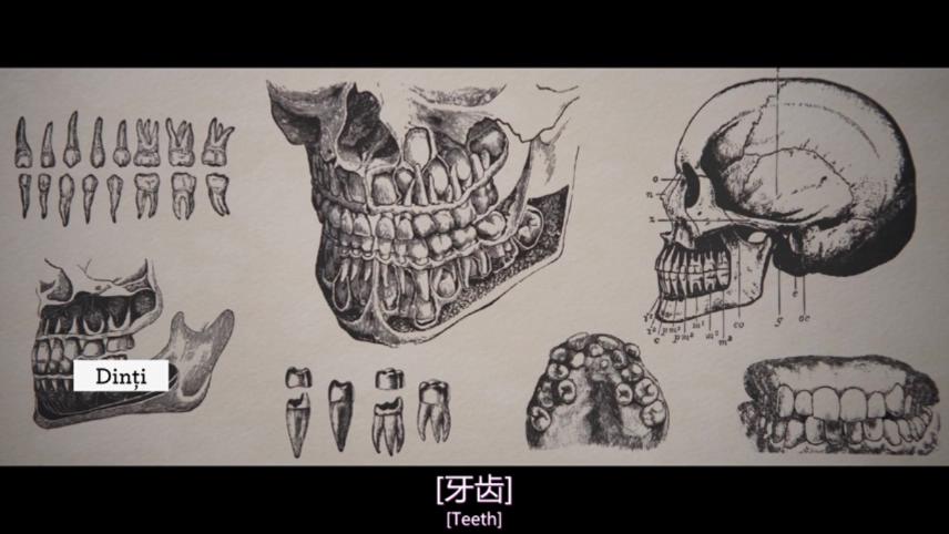 倒霉性爱，发狂黄片剧照的剧照