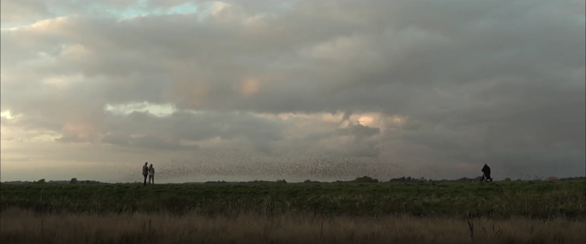 叔叔剧照的剧照