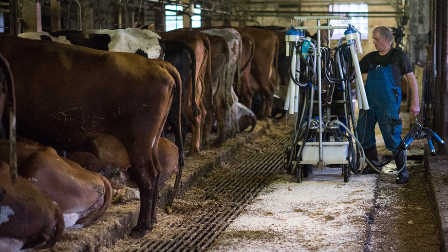 叔叔剧照的剧照