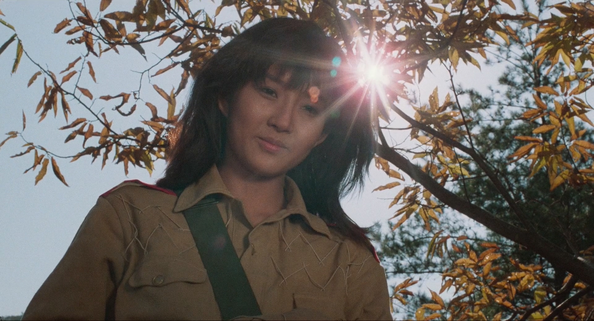 南部军剧照的剧照