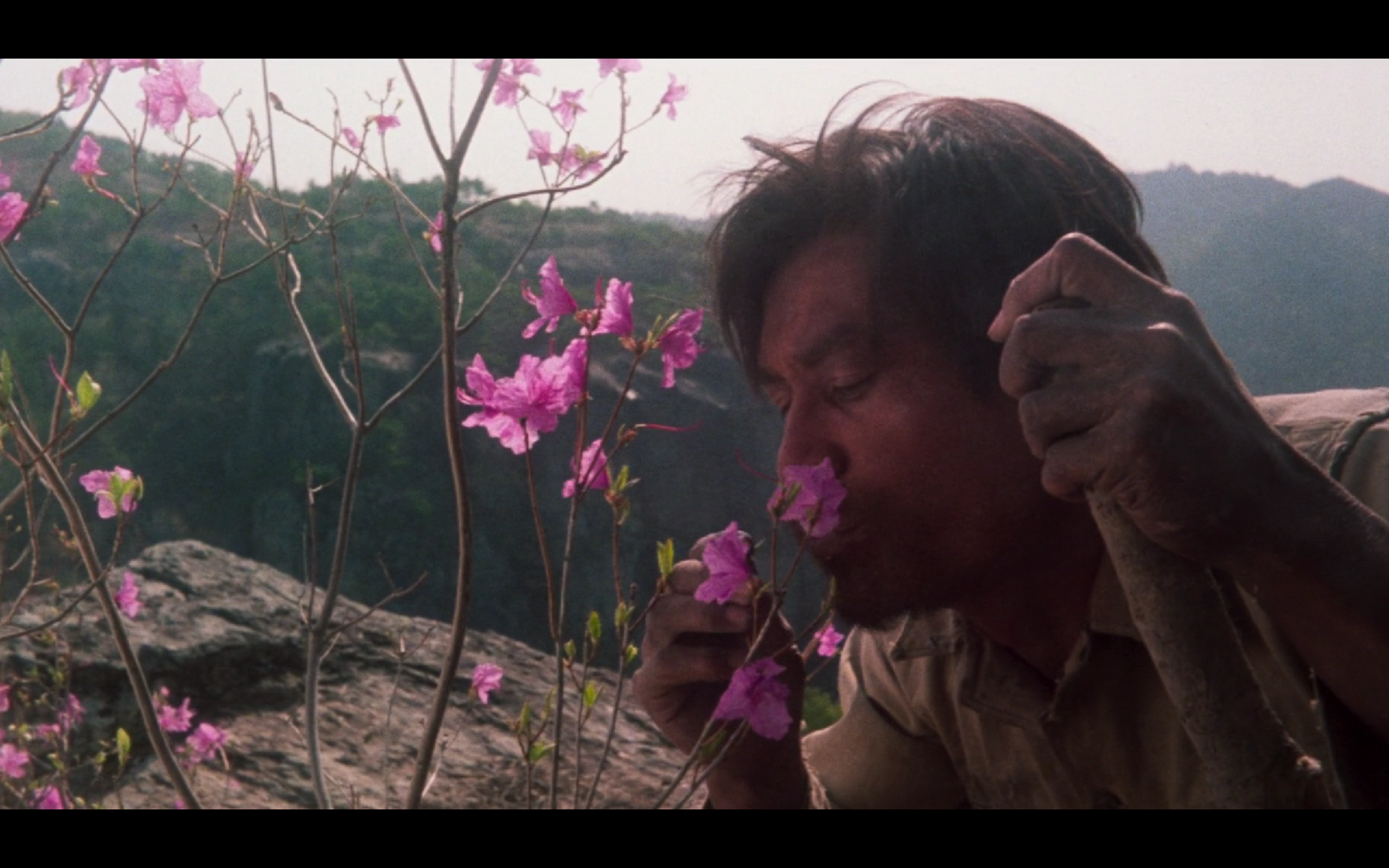 南部军剧照的剧照