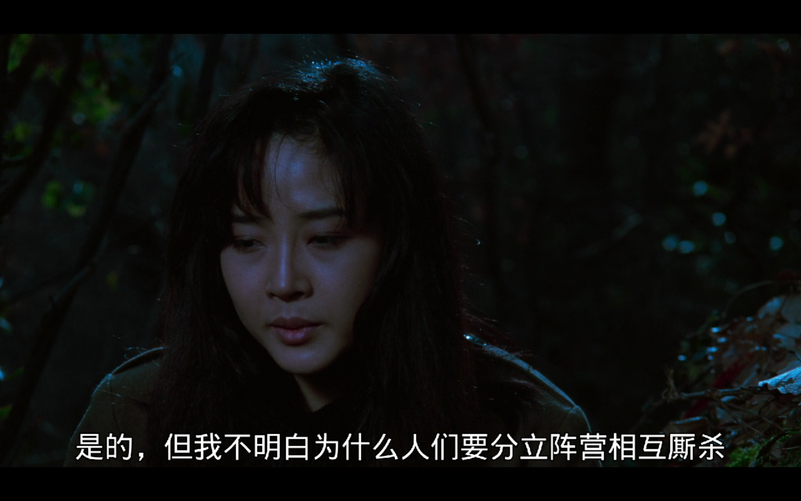 南部军剧照的剧照