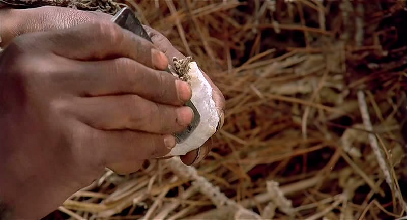 南部军剧照的剧照