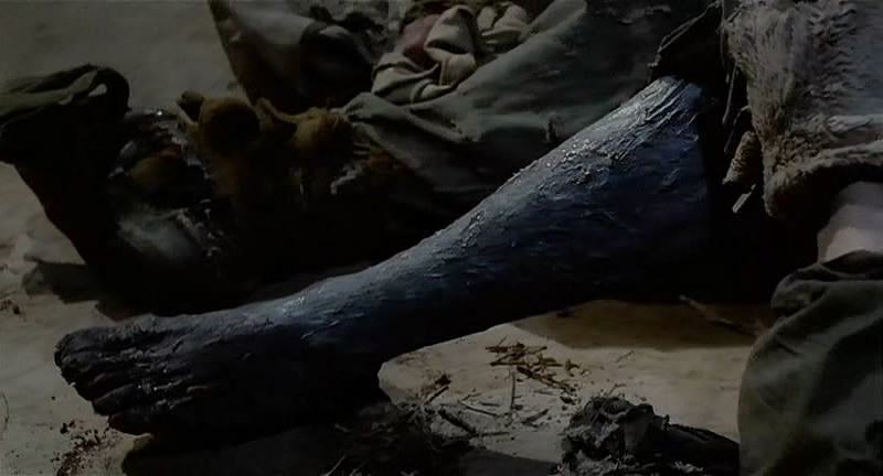 南部军剧照的剧照