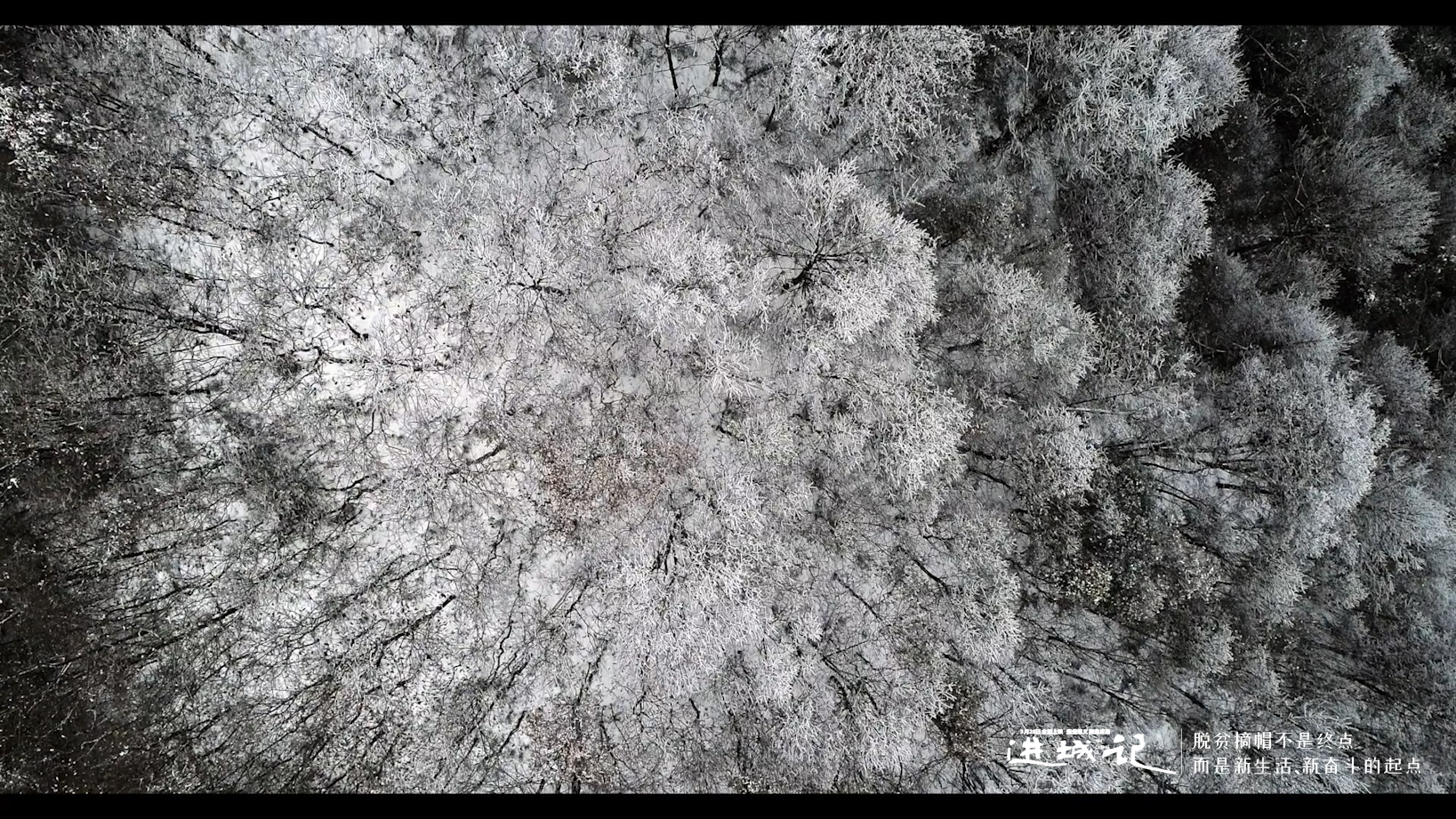 进城记剧照的剧照