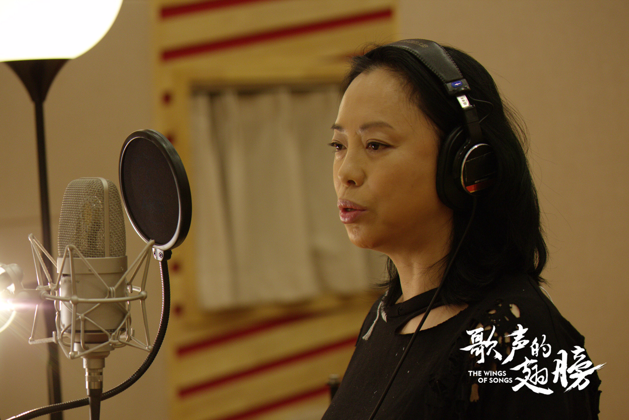 歌声的翅膀剧照的剧照