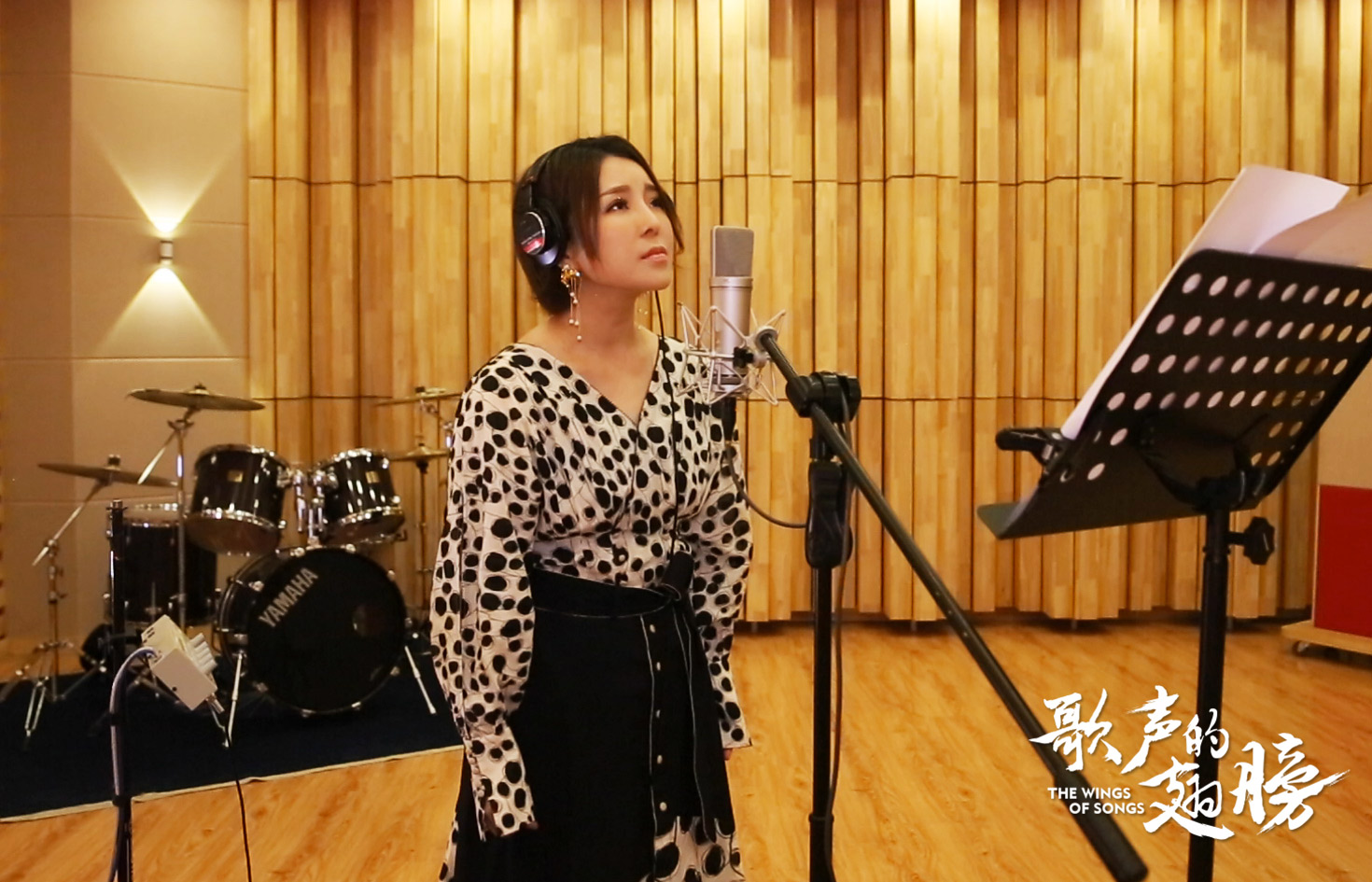 歌声的翅膀剧照的剧照