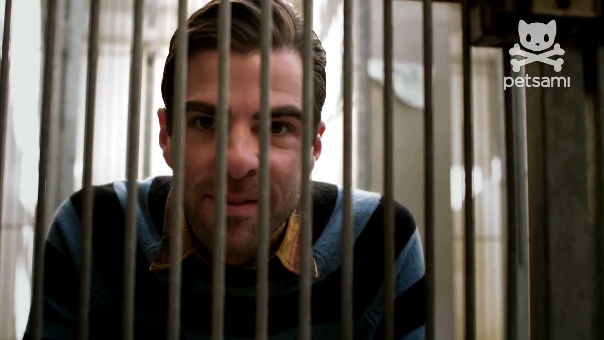 狗咬狗剧照的剧照