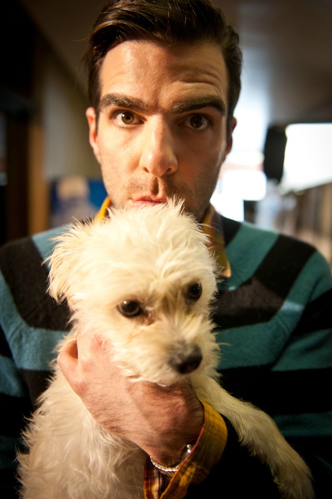 狗咬狗剧照的剧照