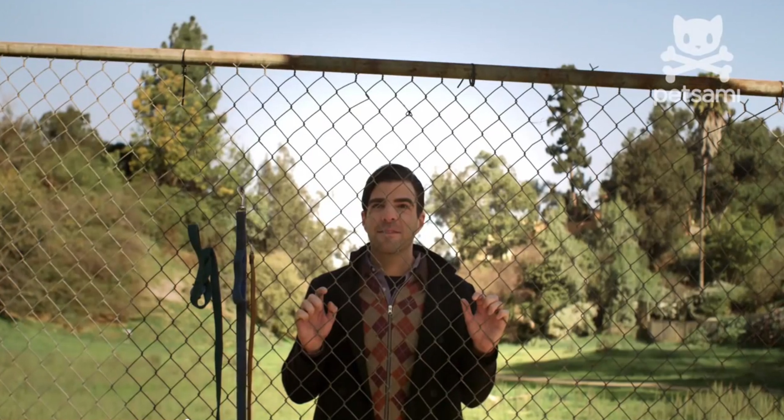 狗咬狗剧照的剧照