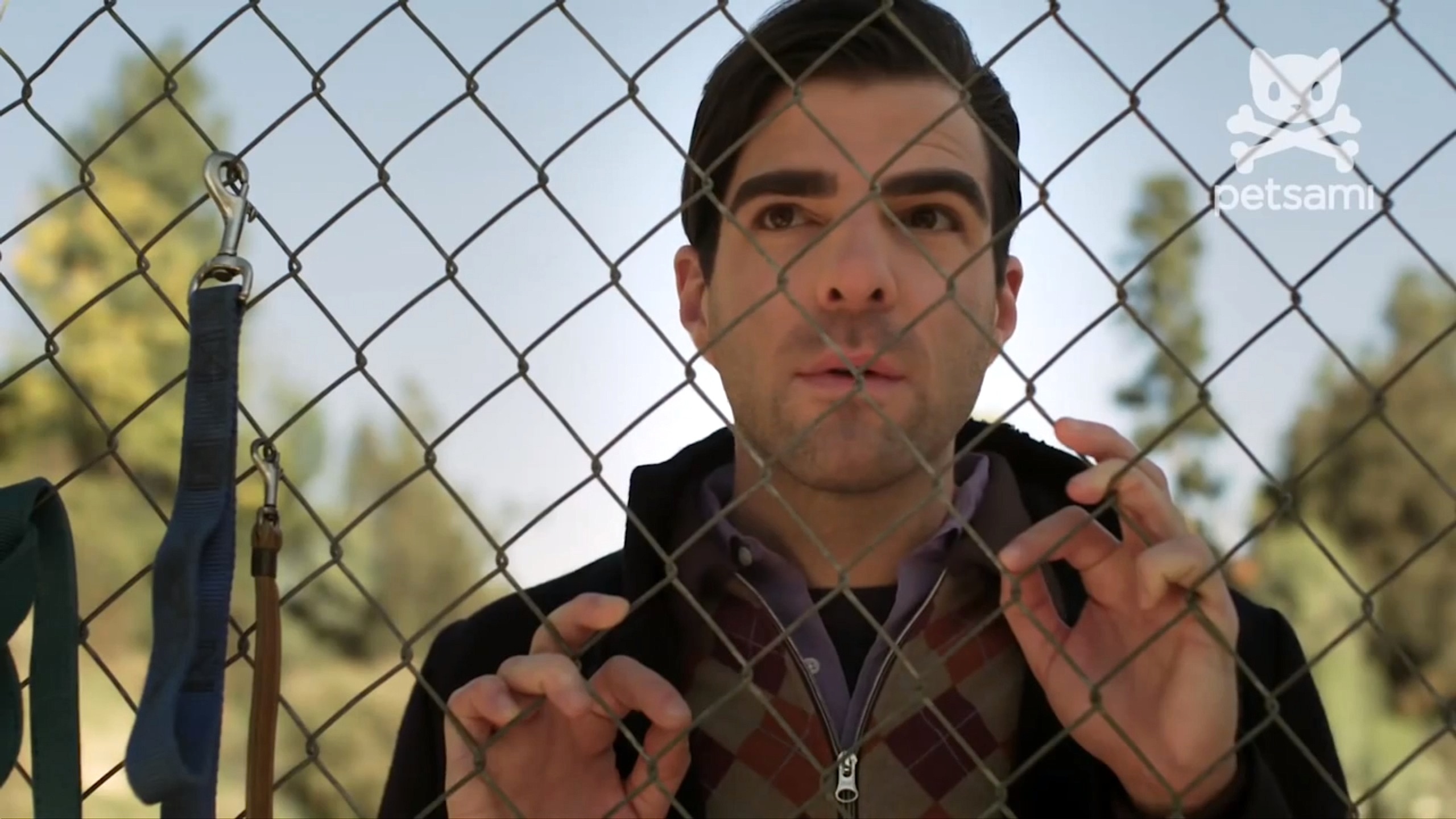 狗咬狗剧照的剧照