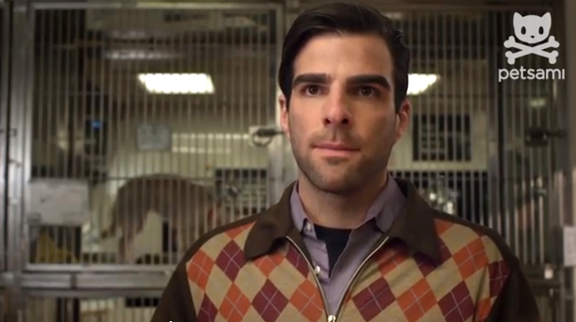 狗咬狗剧照的剧照