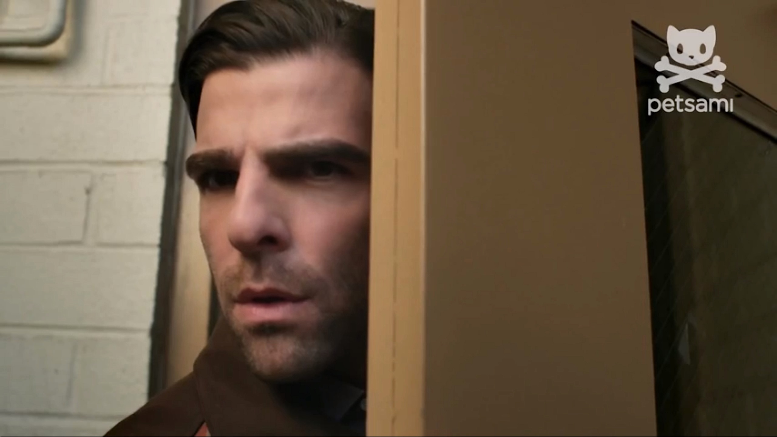 狗咬狗剧照的剧照