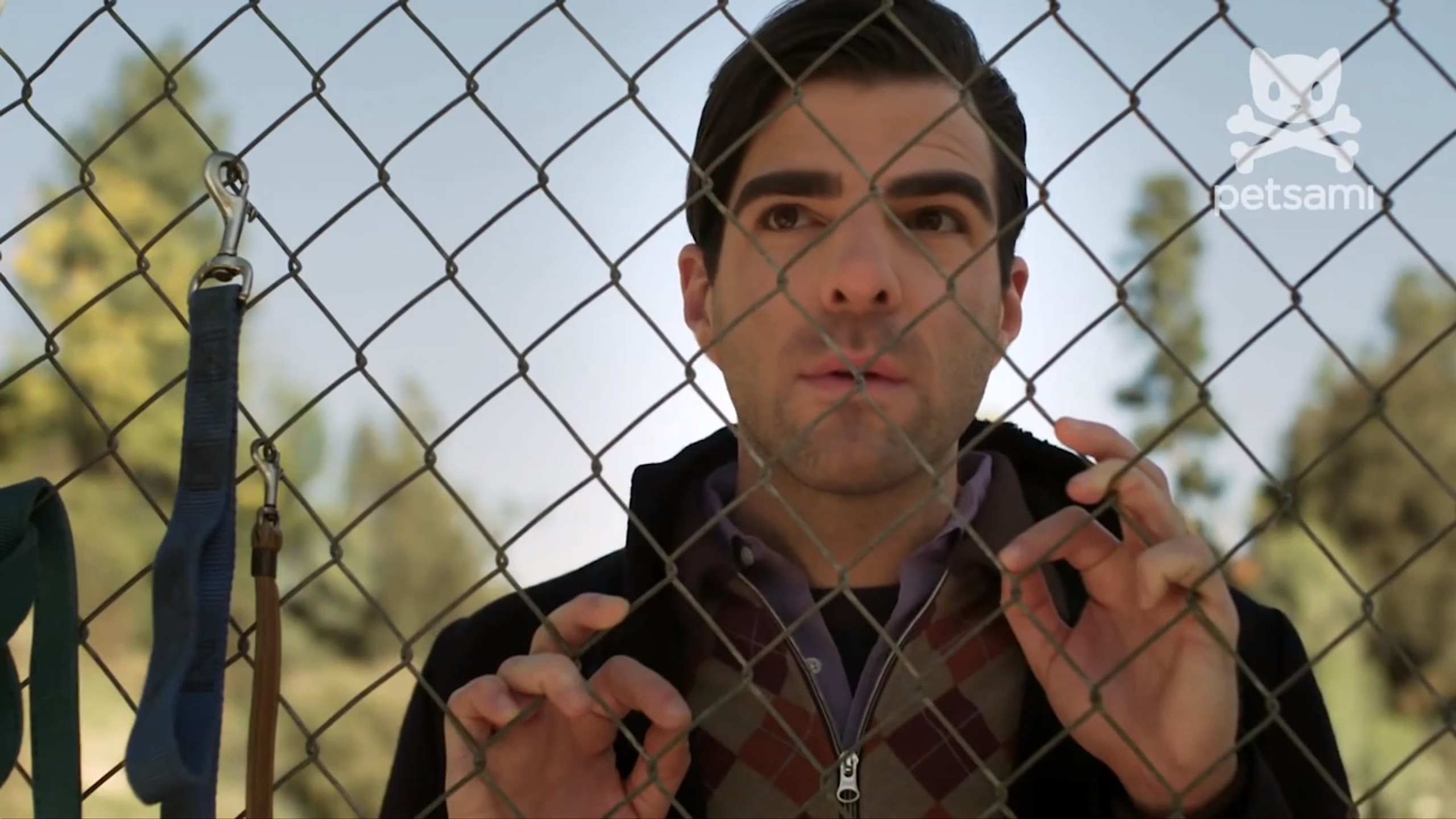 狗咬狗剧照的剧照