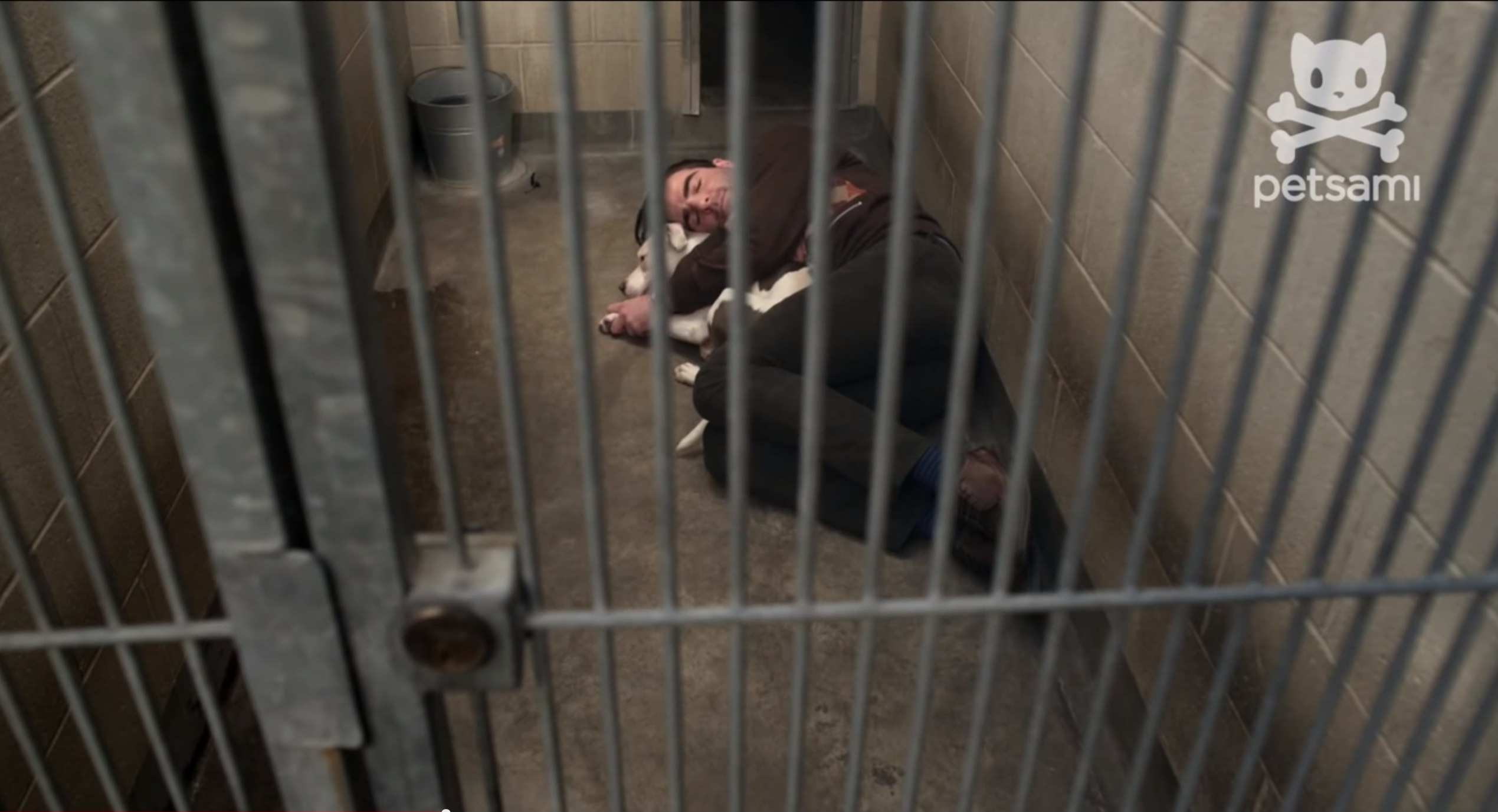 狗咬狗剧照的剧照