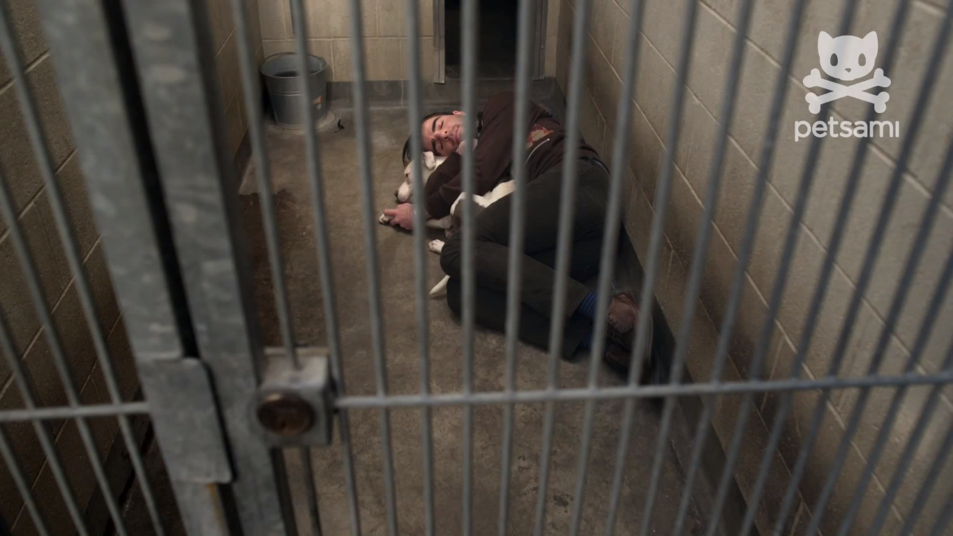 狗咬狗剧照的剧照