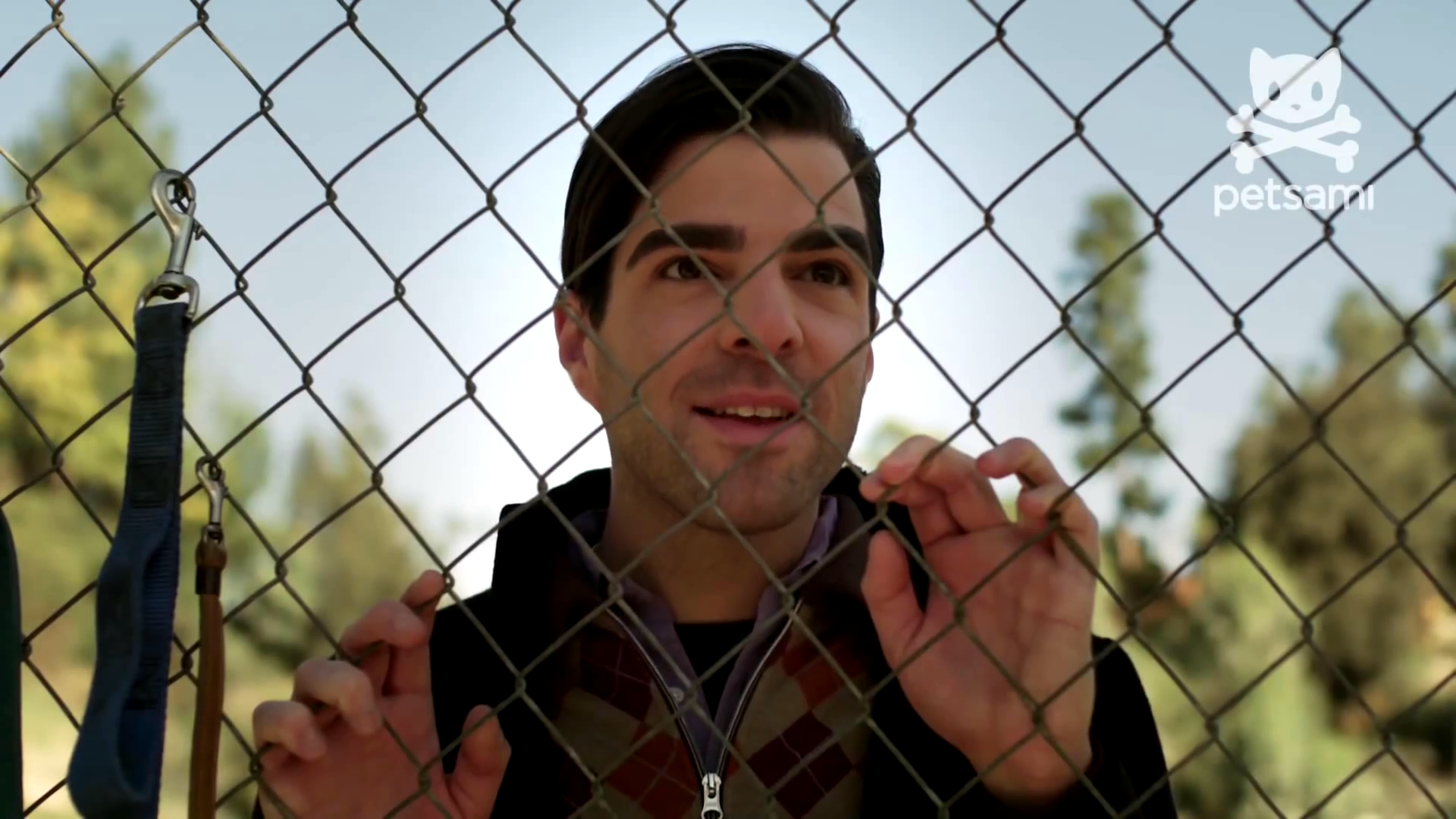 狗咬狗剧照的剧照