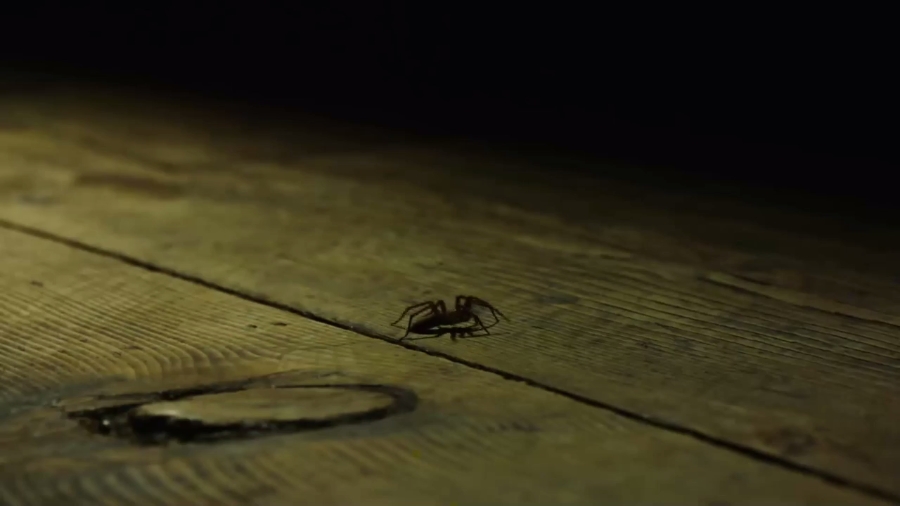 圣山村谜局剧照的剧照