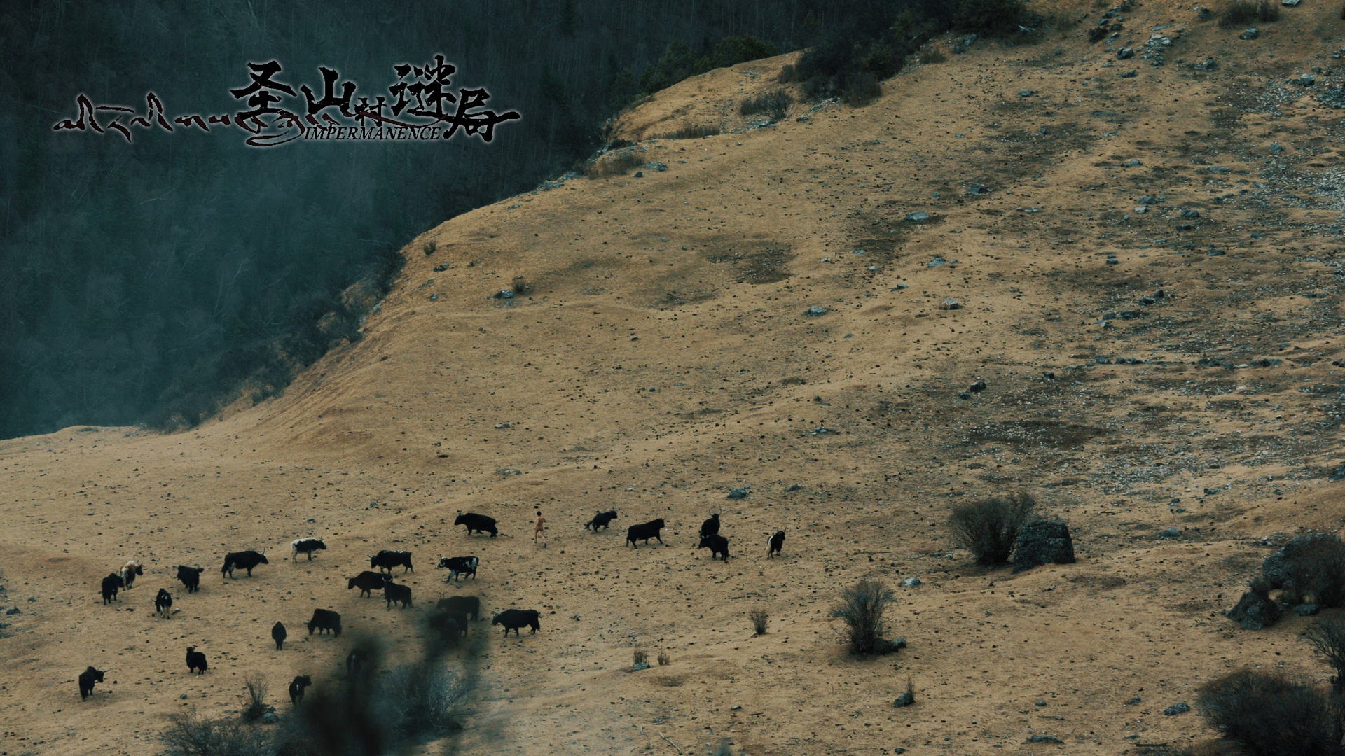 圣山村谜局剧照的剧照