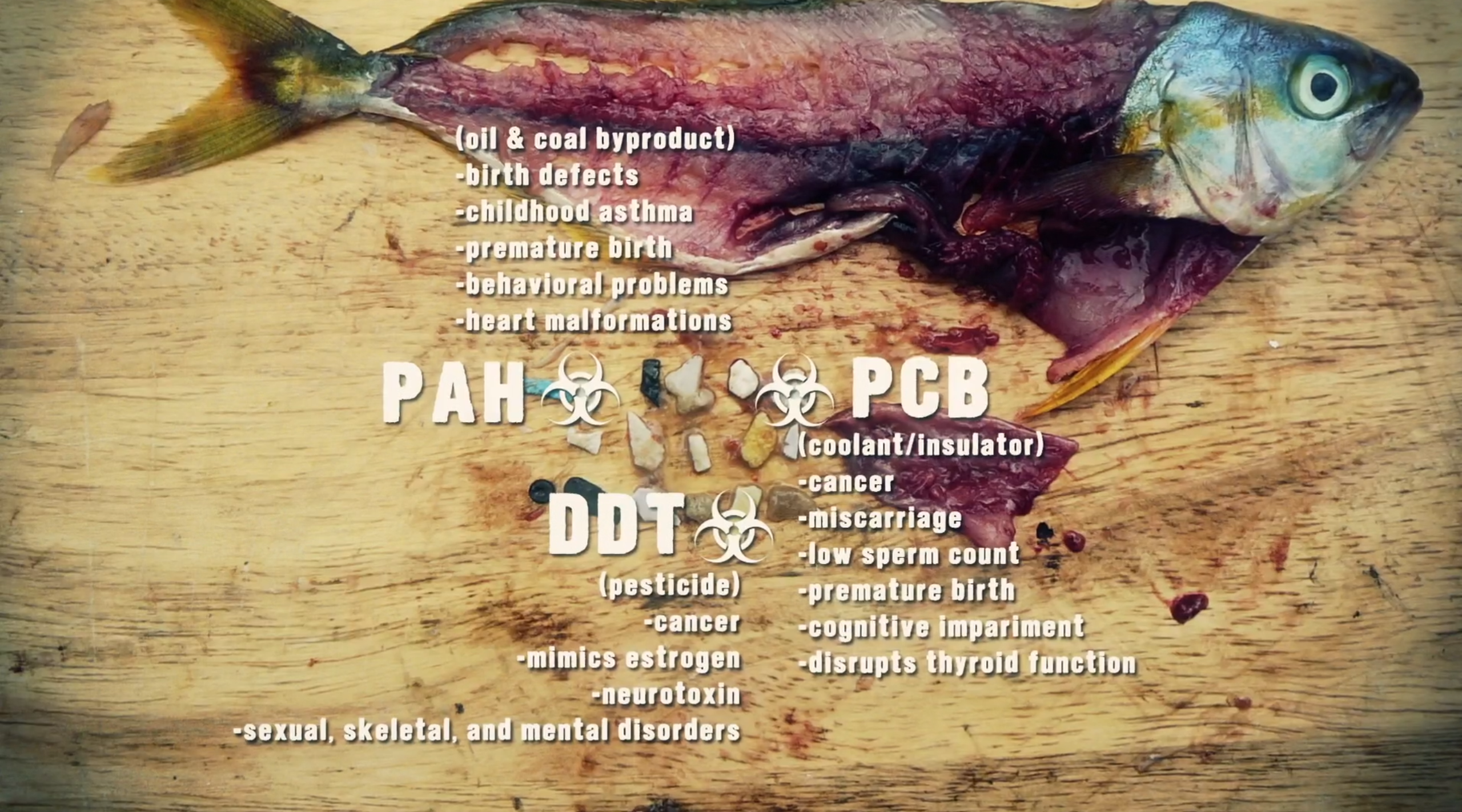塑料天堂：大太平洋垃圾带剧照的剧照