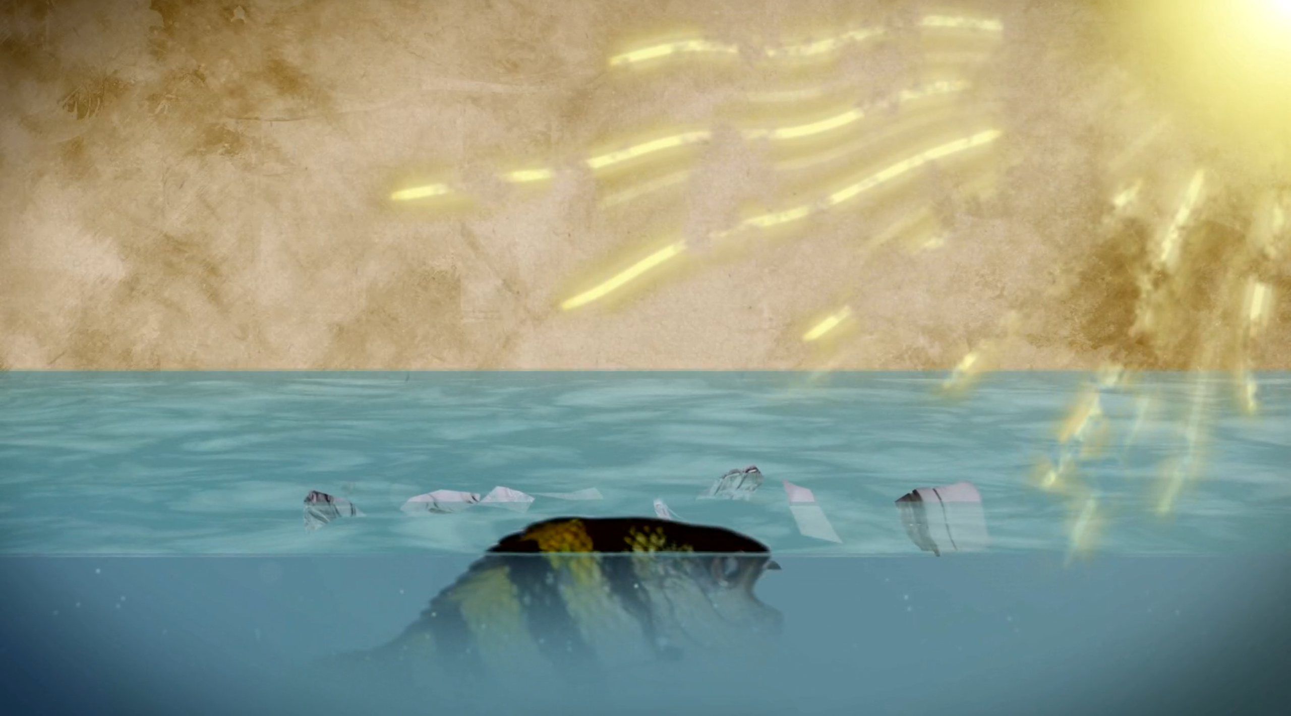 塑料天堂：大太平洋垃圾带剧照的剧照