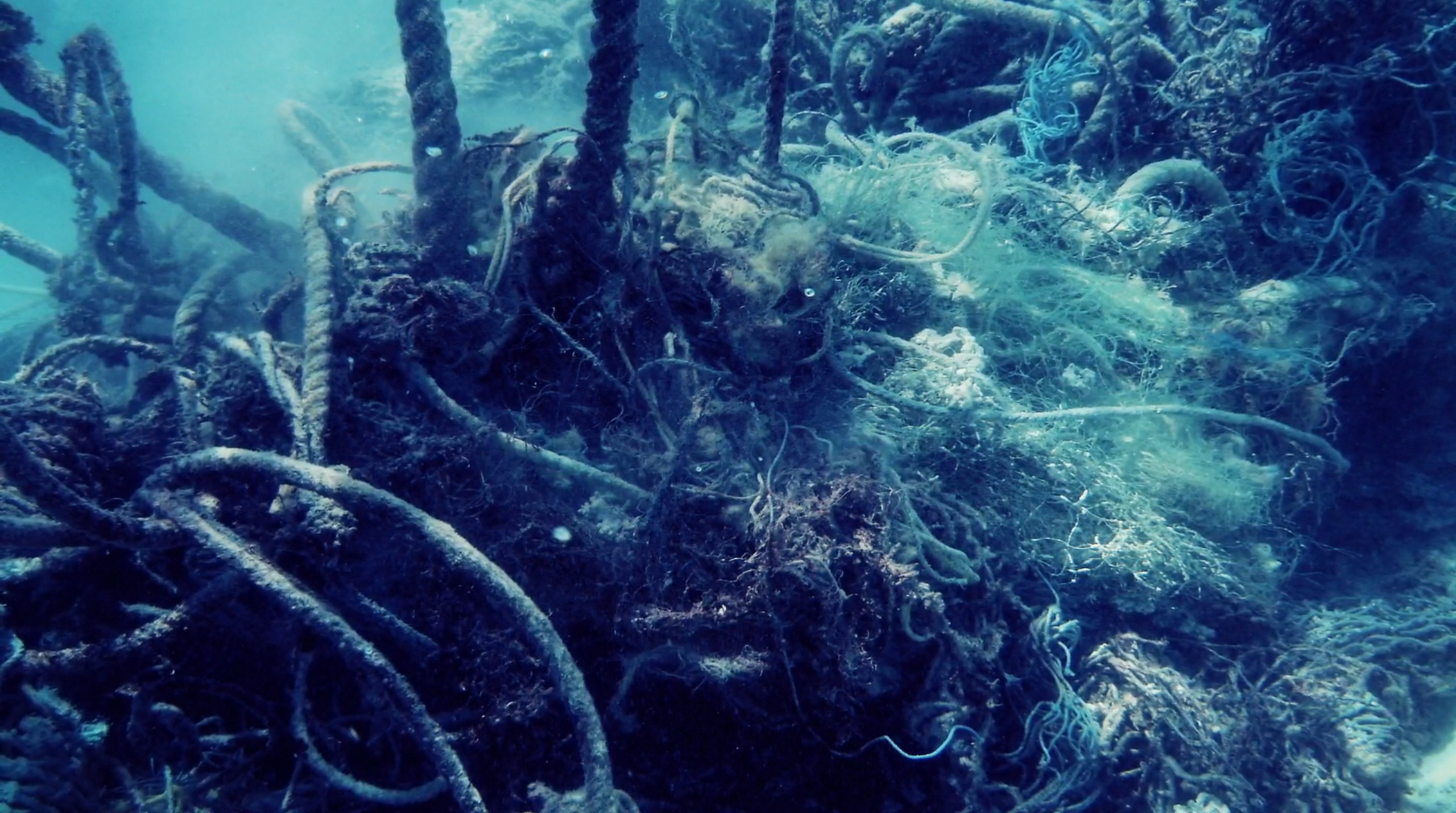 塑料天堂：大太平洋垃圾带剧照的剧照