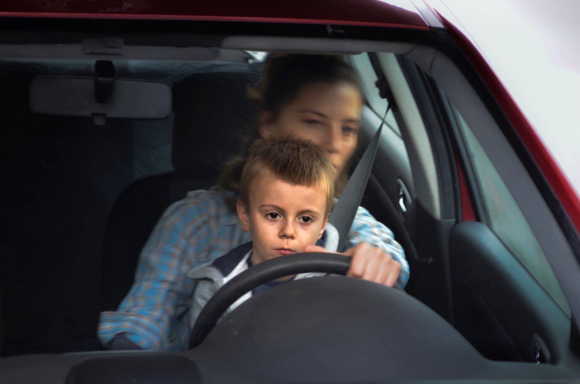 柳树剧照的剧照