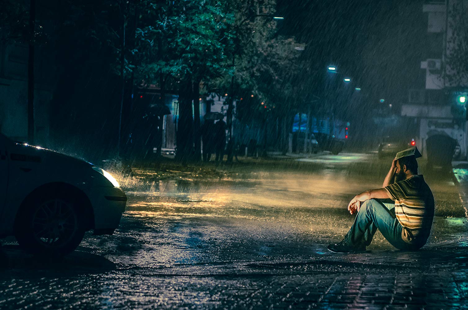 柳树剧照的剧照