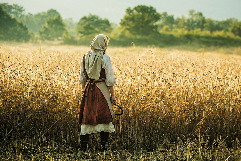 柳树剧照的剧照