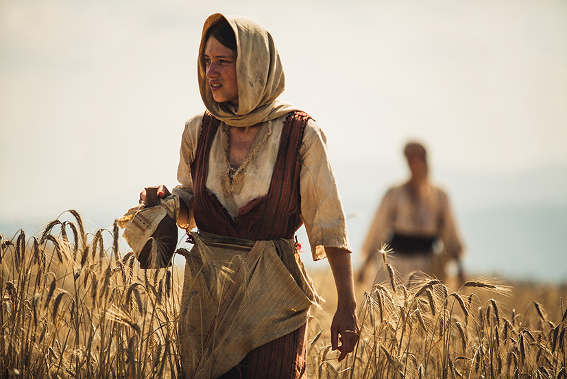 柳树剧照的剧照