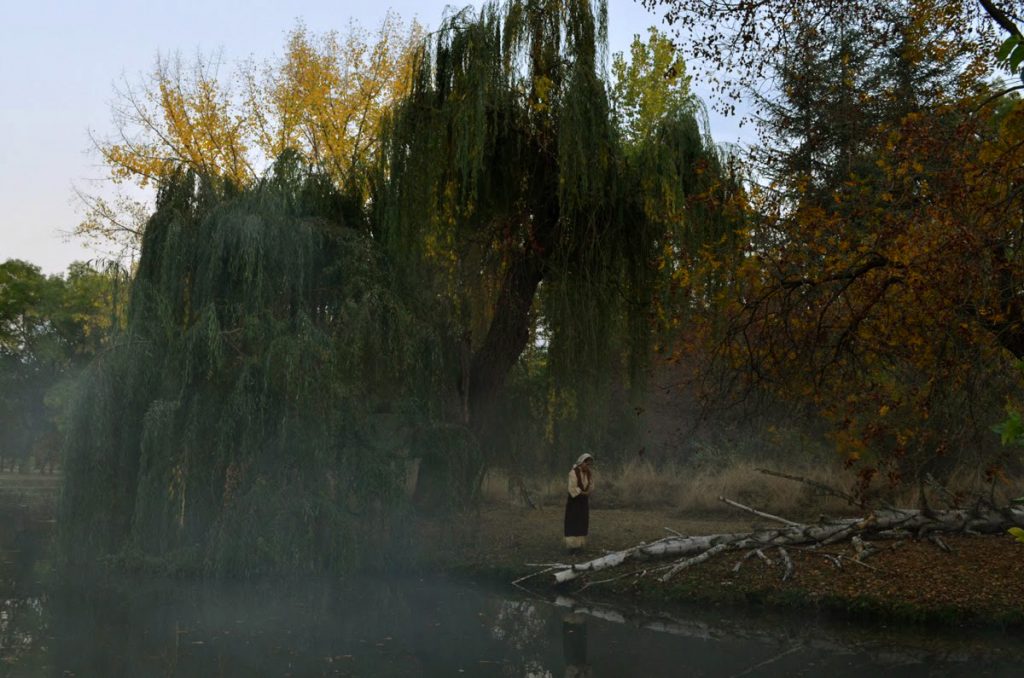 柳树剧照的剧照