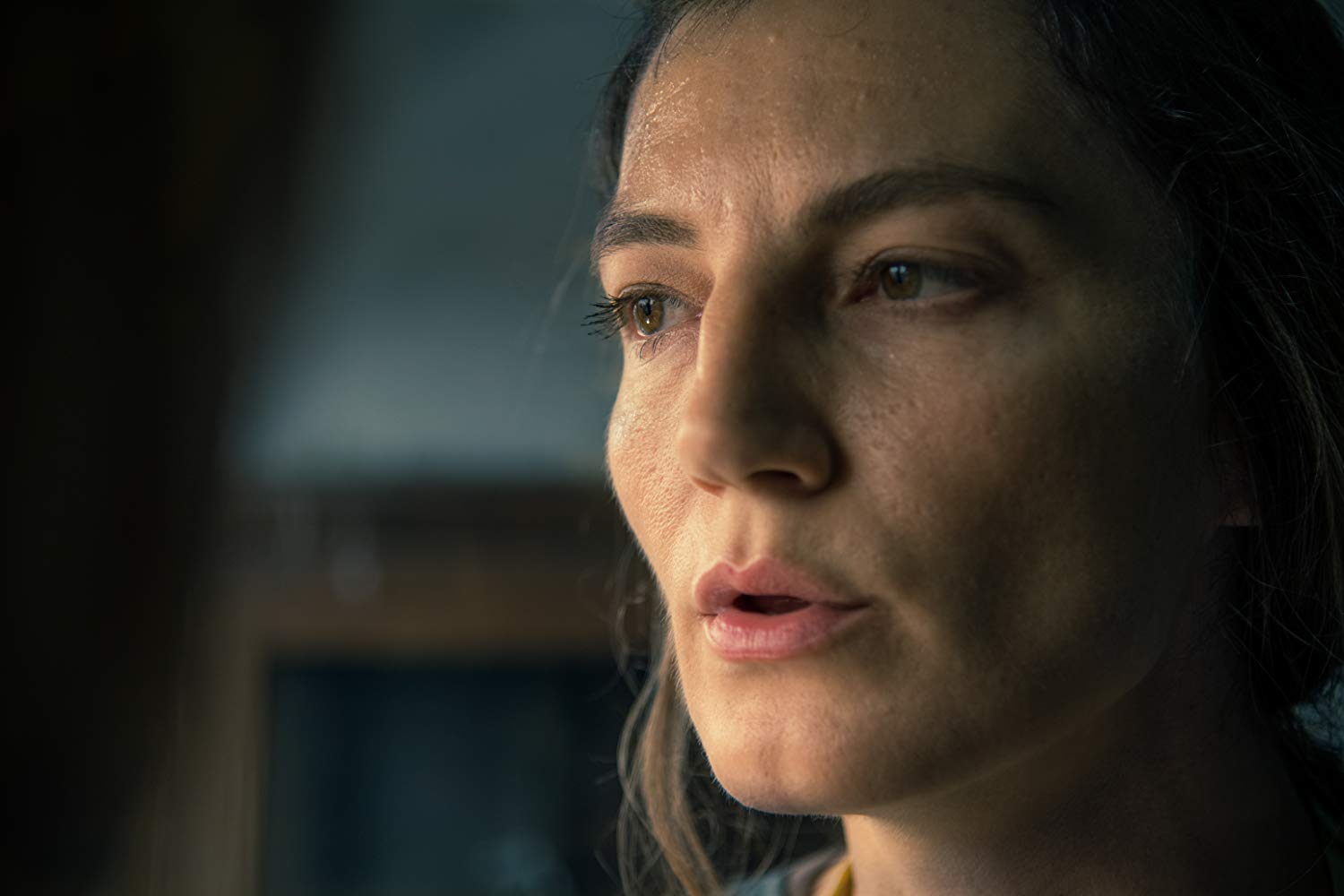 柳树剧照的剧照