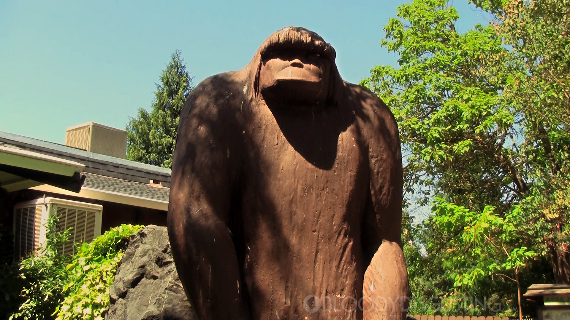 柳树溪剧照的剧照