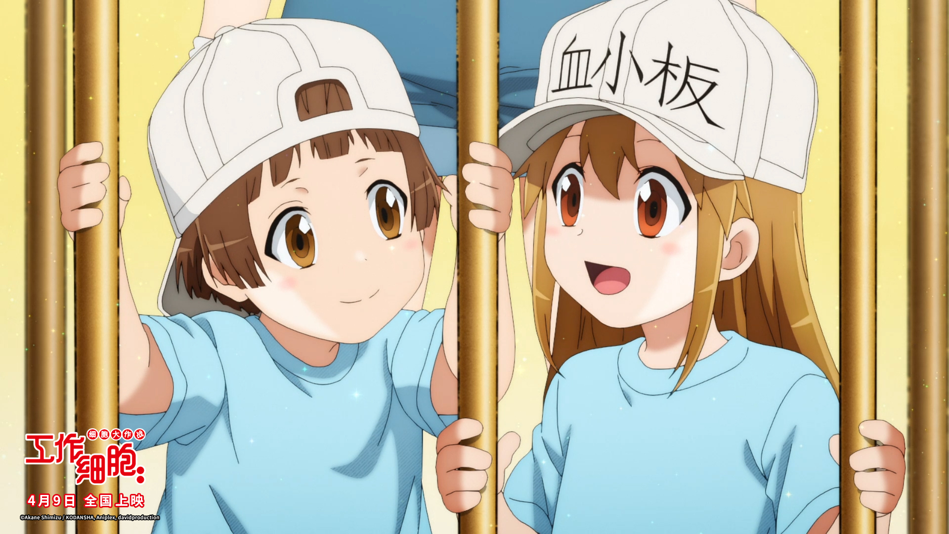 工作细胞：细胞大作战剧照的剧照