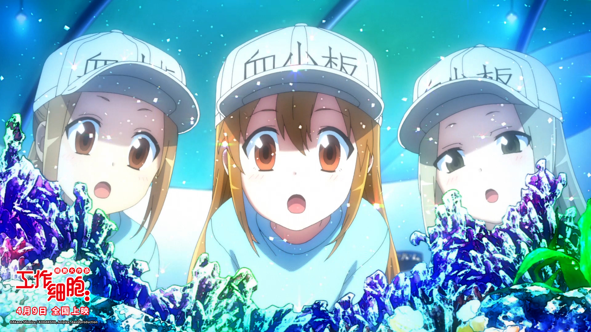 工作细胞：细胞大作战剧照的剧照