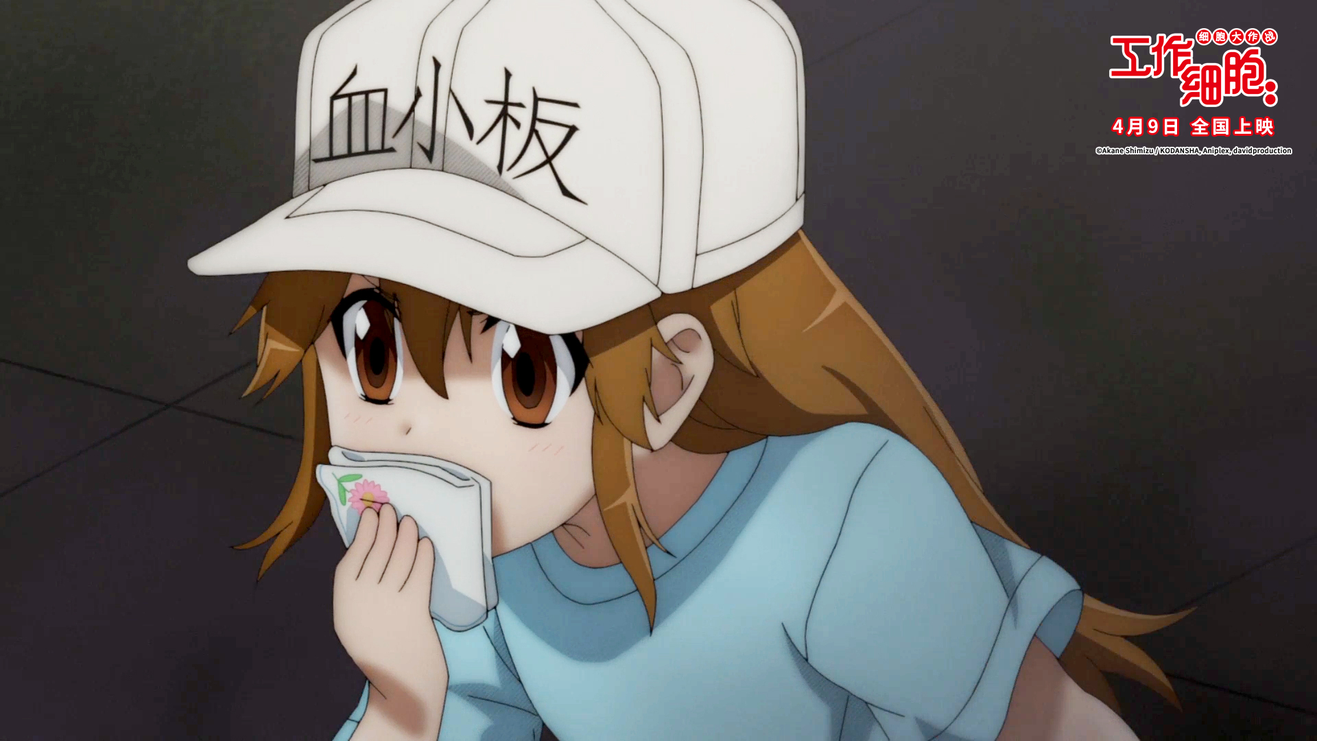 工作细胞：细胞大作战剧照的剧照