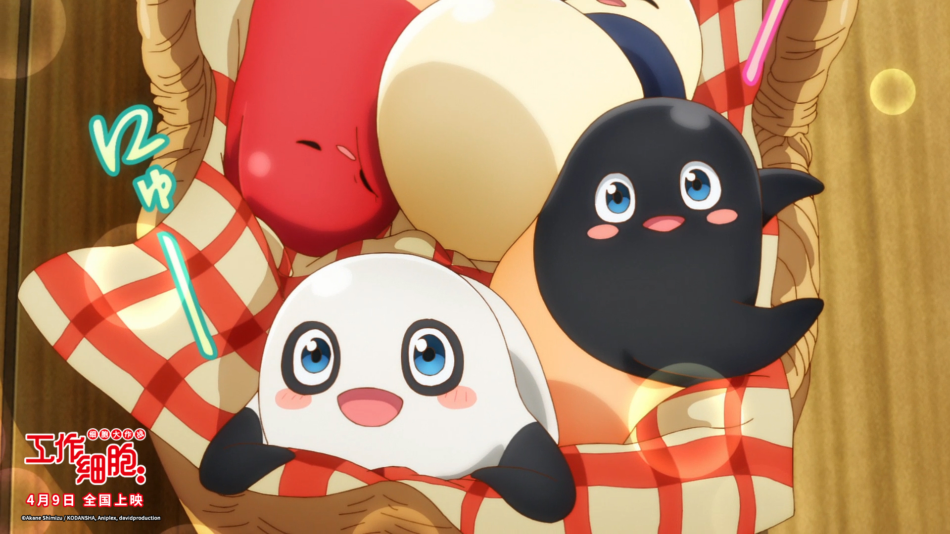 工作细胞：细胞大作战剧照的剧照