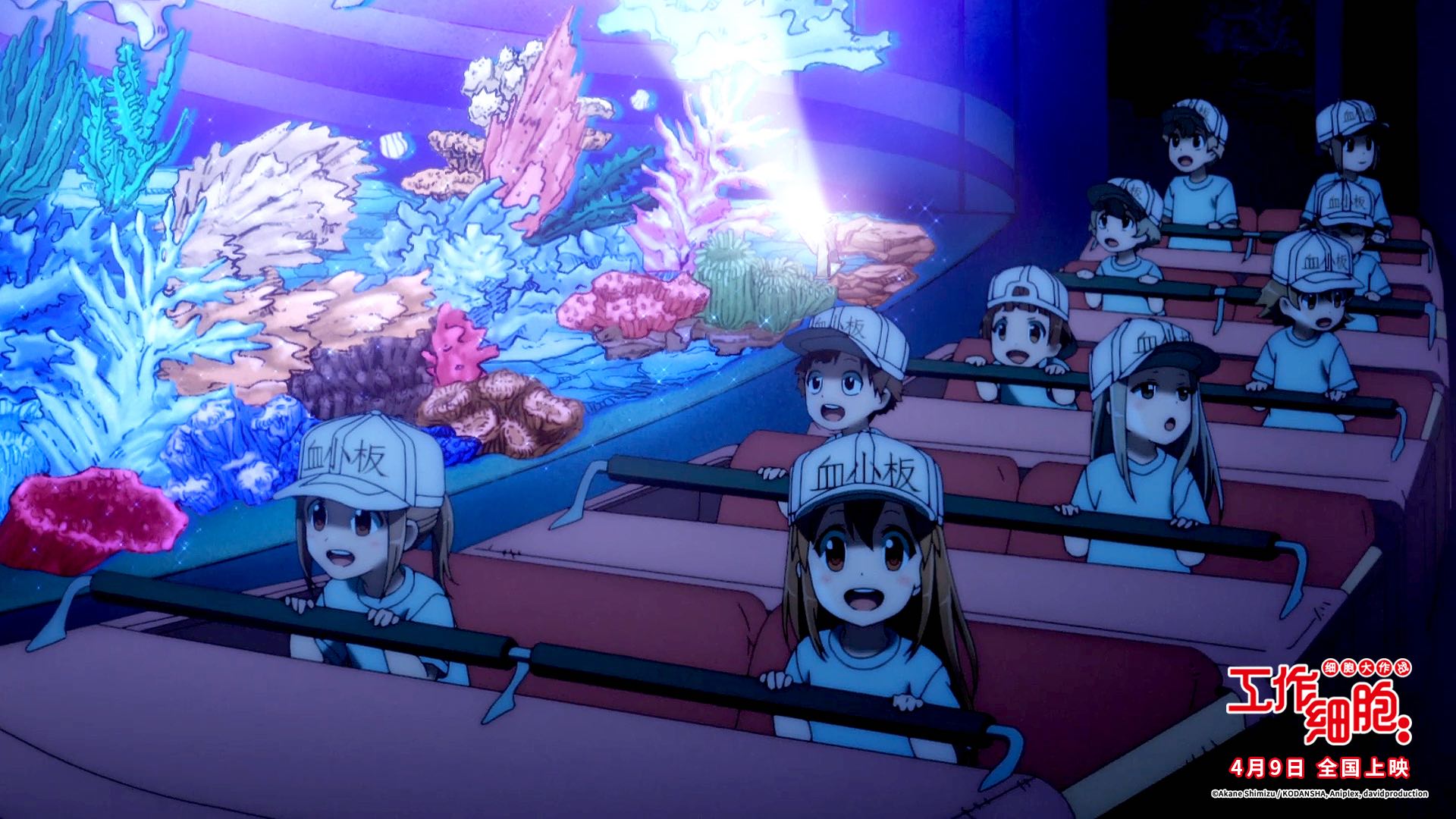 工作细胞：细胞大作战剧照的剧照