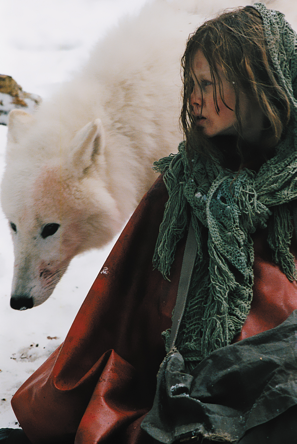 与狼共存剧照的剧照