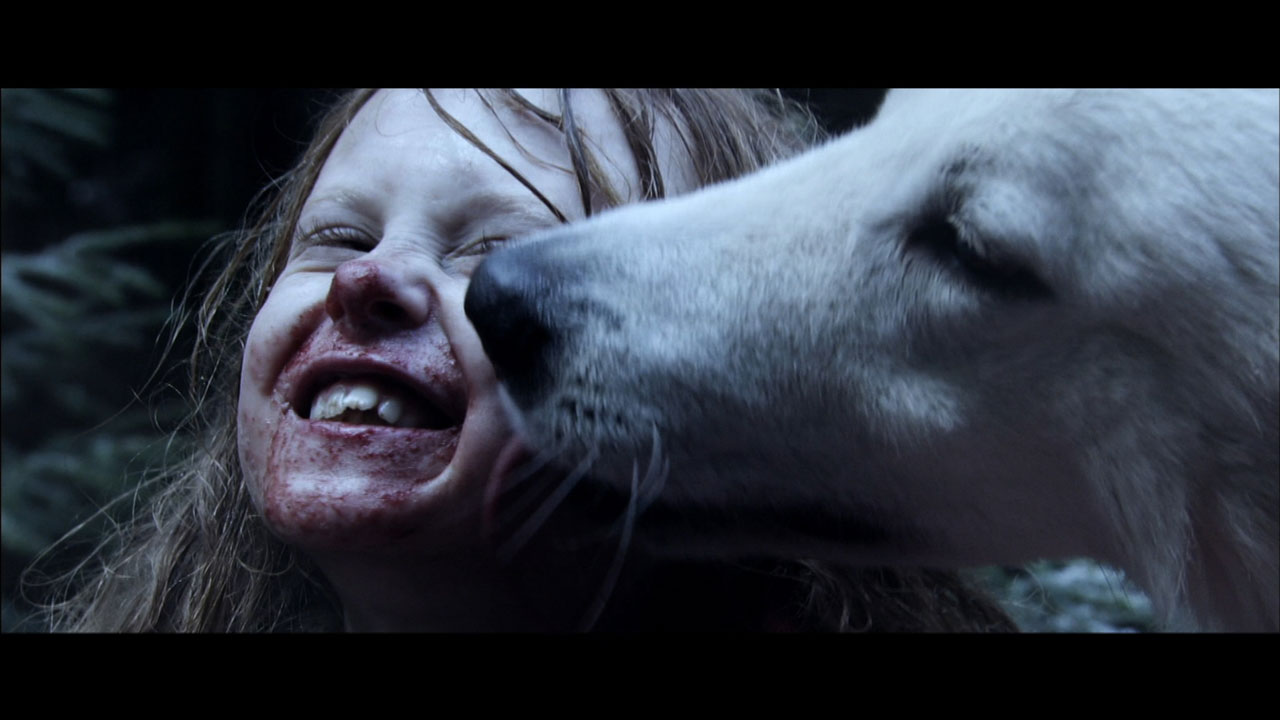 与狼共存剧照的剧照