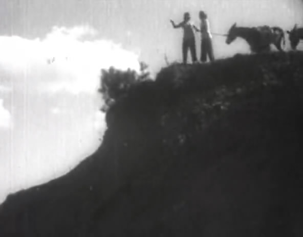 大路剧照的剧照