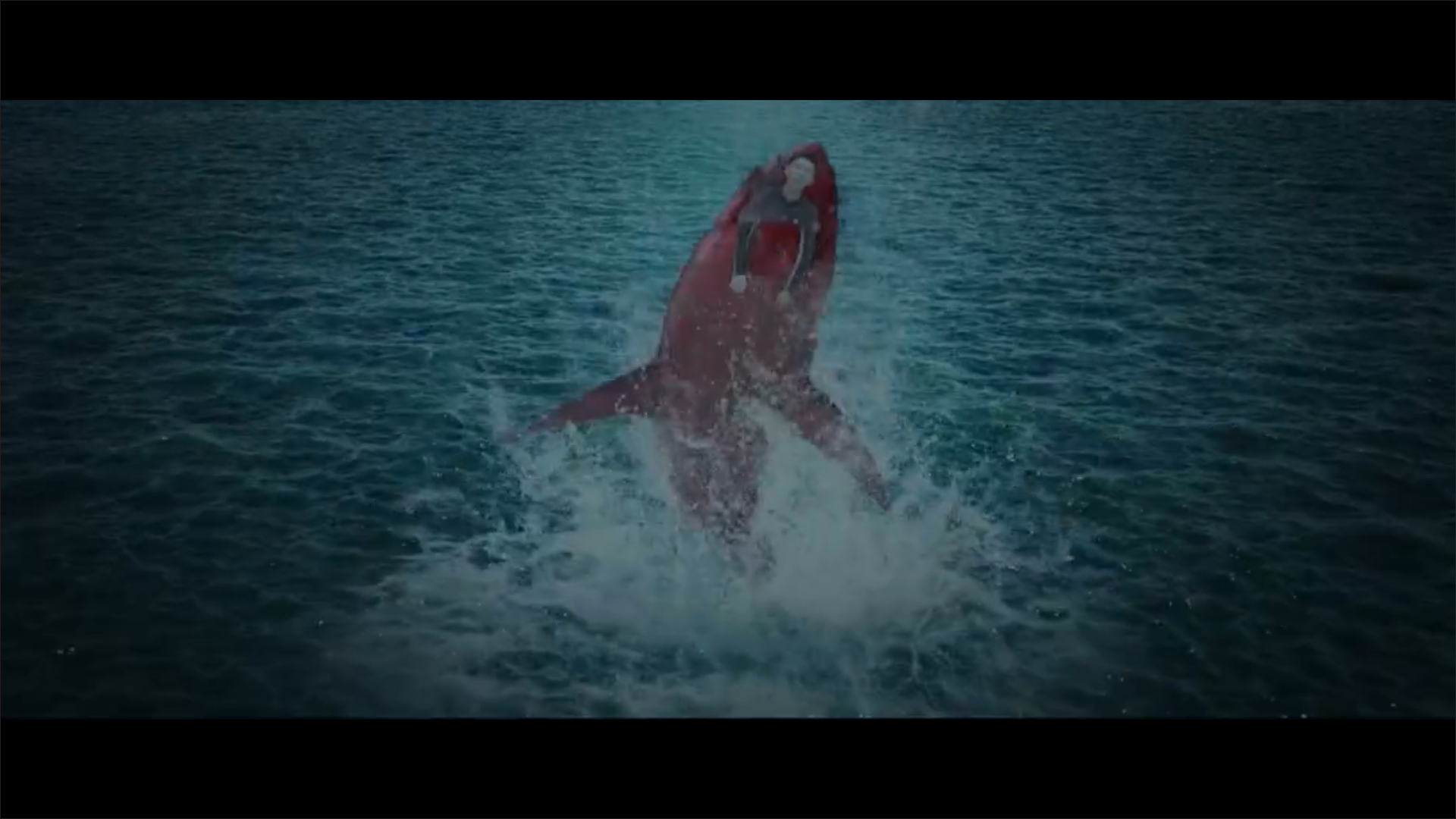 血鲨剧照的剧照