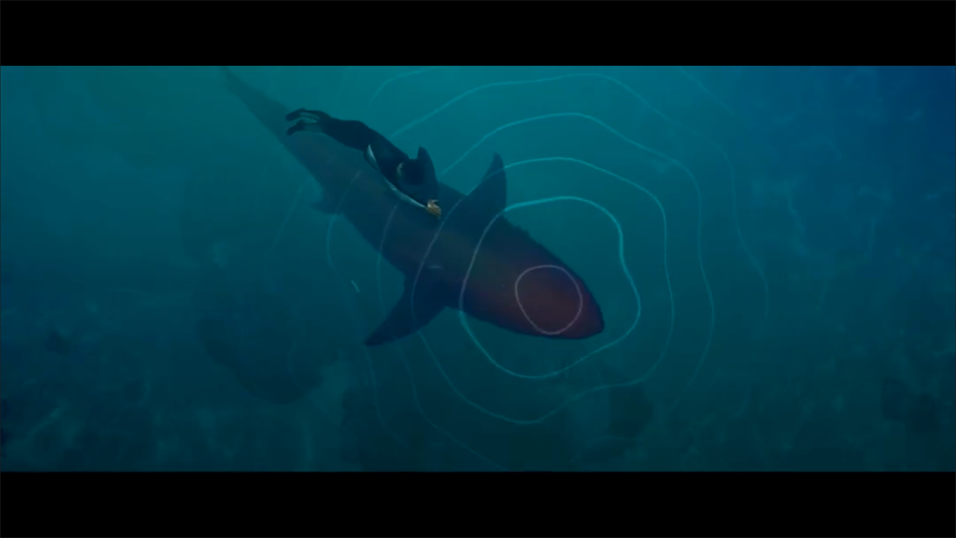 血鲨剧照的剧照