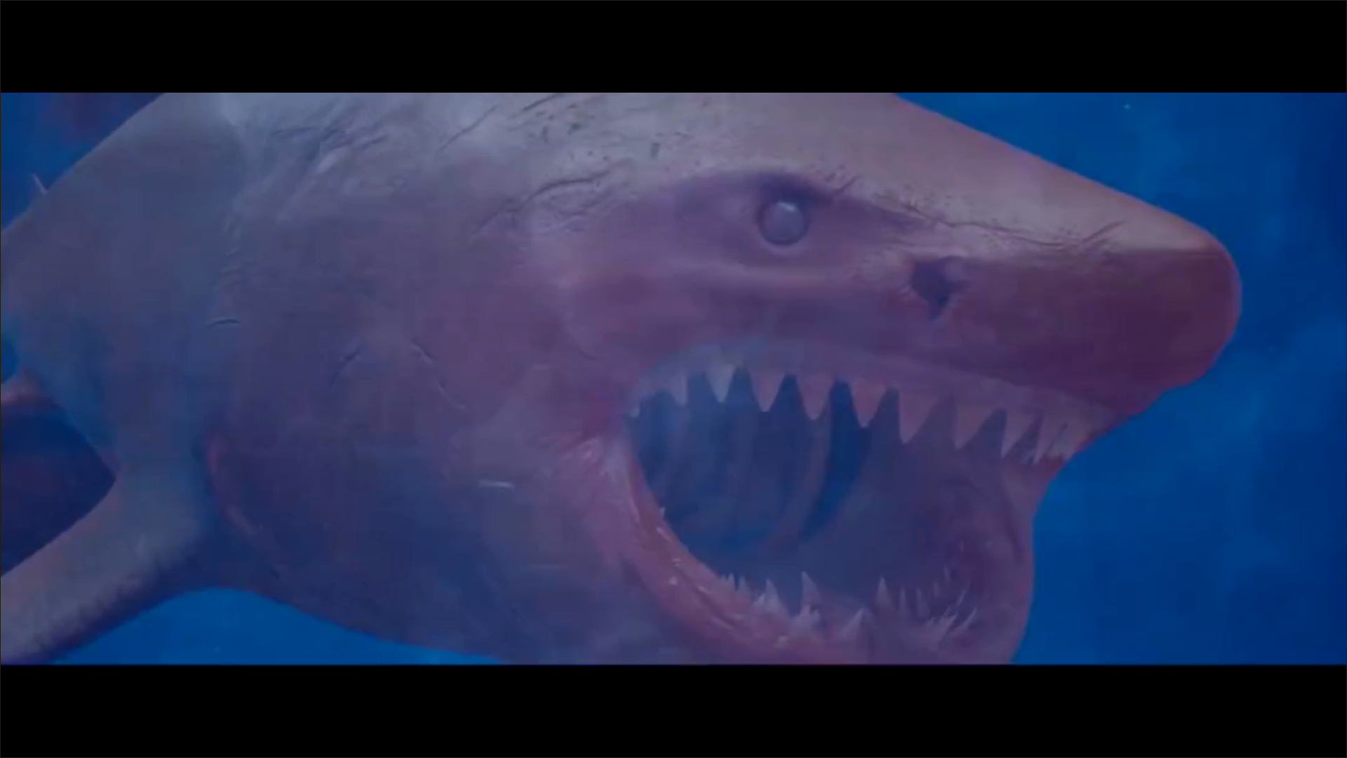 血鲨剧照的剧照