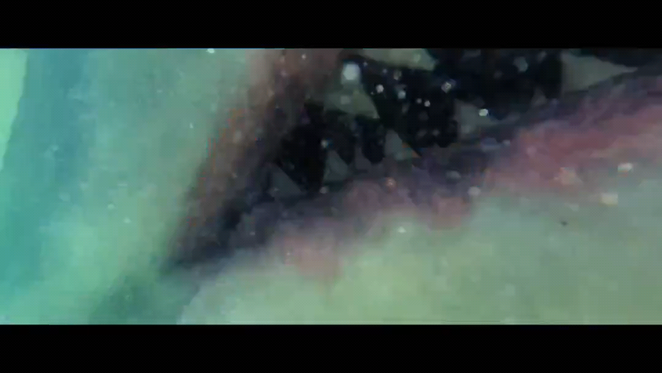 鲨鱼季节剧照的剧照