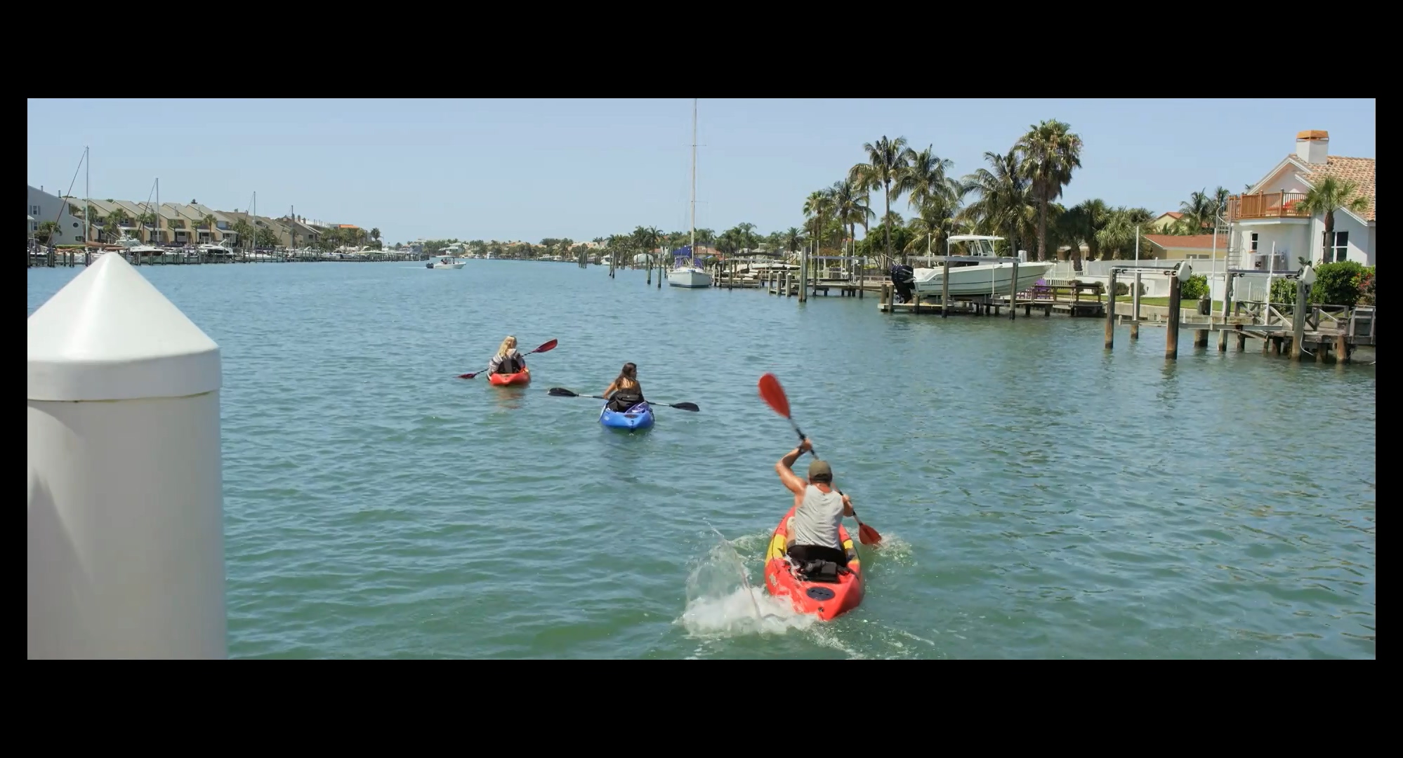 鲨鱼季节剧照的剧照