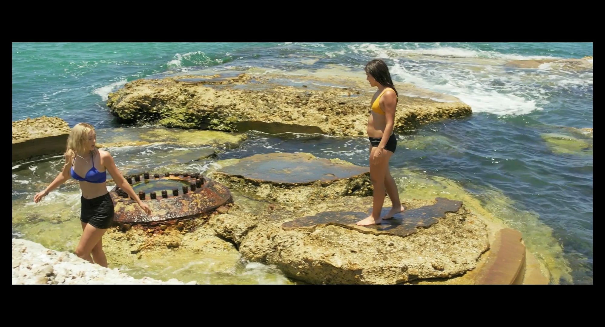 鲨鱼季节剧照的剧照