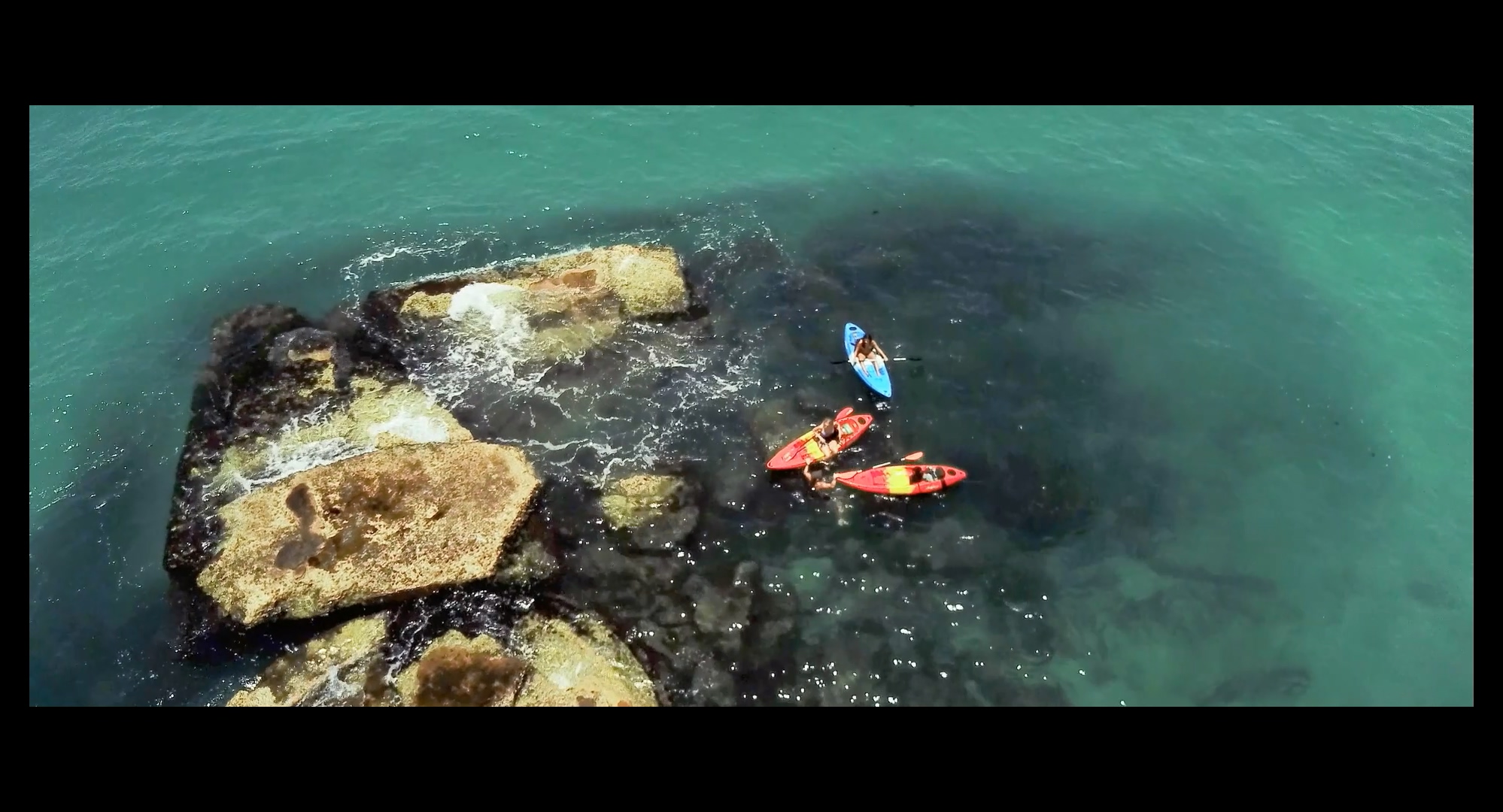 鲨鱼季节剧照的剧照