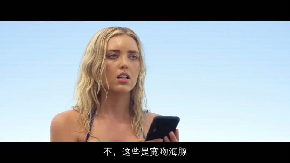 鲨鱼季节剧照的剧照